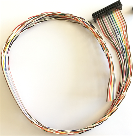 Qdecoder QD142 - Kabel (50 cm) fr 12 Anschlsse a