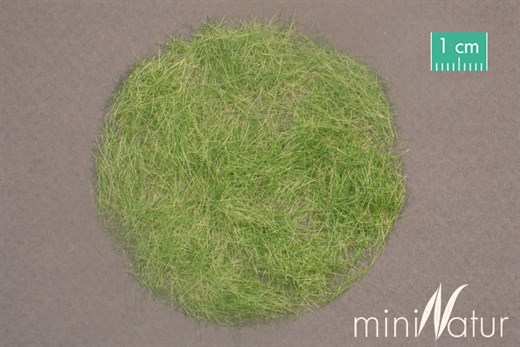 Silhouette 006-33 - Gras-Flock 6,5 mm