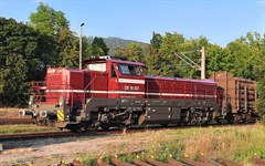 Arnold HN9057S - Cargo Logistik Rail Service, Dies