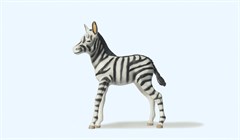 Preiser 47530 - Zebrafohlen