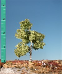 Silhouette 210-13 - Moorbirke/ Moor birch
