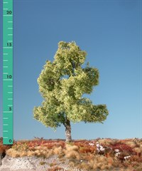 Silhouette 210-31 - Moorbirke/ Moor birch