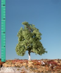 Silhouette 210-32 - Moorbirke/ Moor birch