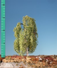 Silhouette 211-11 - Hngebirke/ Weeping birch