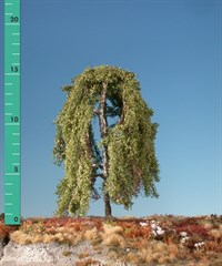 Silhouette 211-12 - Hngebirke/ Weeping birch